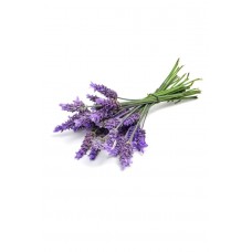 Lavender (Лаванда / Lavandula angustifolia), эфирное масло, 15 мл