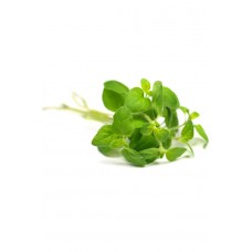 Oregano (Орегано / Origanum vulgare), эфирное масло, 15 мл