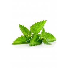 Melissa (Мелисса / Melissa officinalis), эфирное масло, 5 мл.