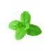 Spearmint (Садовая мята / Mentha spicata), эфирное масло, 15 мл