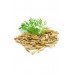 Fennel (Sweet)  / Фенхель, эфирное масло, 15 мл