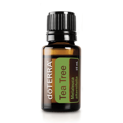 Tea Tree (Чайное дерево), эфирное масло, 15 мл