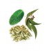 Breathe® Respiratory Blend (Дыхание), респираторная смесь масел, 15 мл