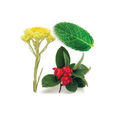 DEEP BLUE SOOTHING BLEND / «Глубокая синева», смесь эфирных масел, 5 мл