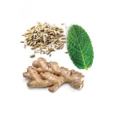 DigestZen® Digestive Blend / «Дзен пищеварения», смесь масел для пищеварения, 15 мл