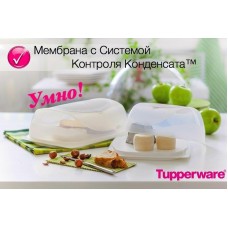 "РОЗУМНА СИРНИЦЯ™" ПРЯМОКУТНА
