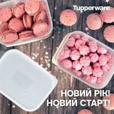 КОНТЕЙНЕР "АКВАКОНТРОЛЬ"  (1,3 Л) *2 ШТ ЖАСМИН